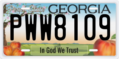 GA license plate PWW8109