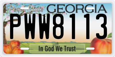 GA license plate PWW8113