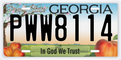 GA license plate PWW8114