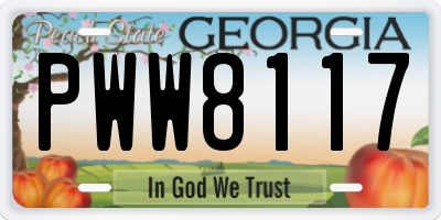 GA license plate PWW8117