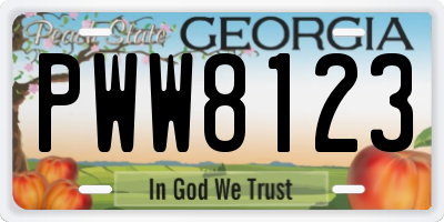 GA license plate PWW8123
