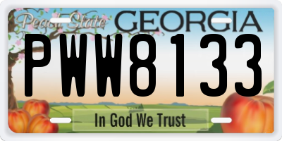 GA license plate PWW8133