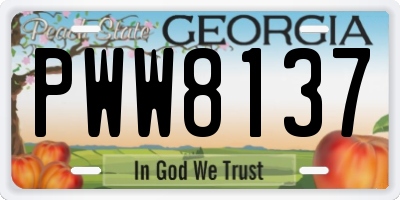 GA license plate PWW8137