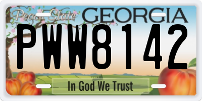 GA license plate PWW8142