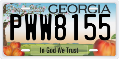 GA license plate PWW8155