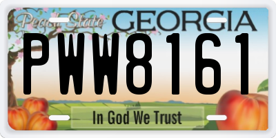 GA license plate PWW8161