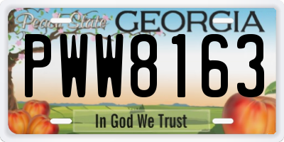 GA license plate PWW8163
