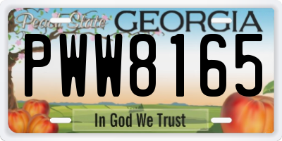 GA license plate PWW8165