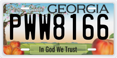 GA license plate PWW8166