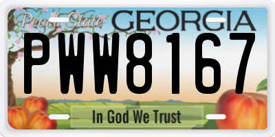 GA license plate PWW8167