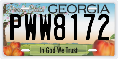 GA license plate PWW8172