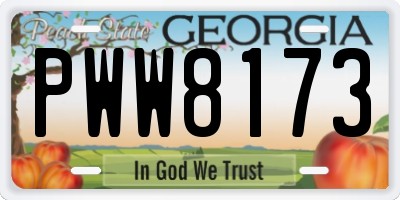 GA license plate PWW8173