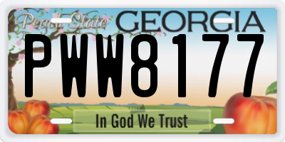 GA license plate PWW8177