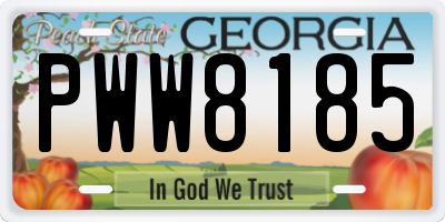 GA license plate PWW8185