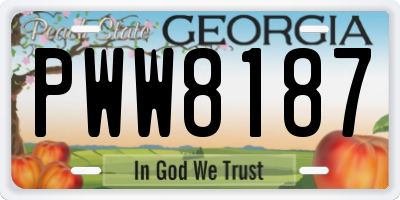 GA license plate PWW8187