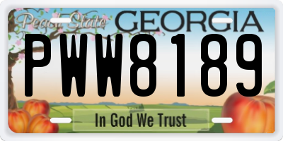 GA license plate PWW8189