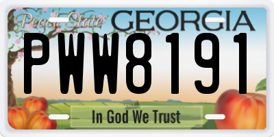 GA license plate PWW8191