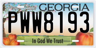 GA license plate PWW8193