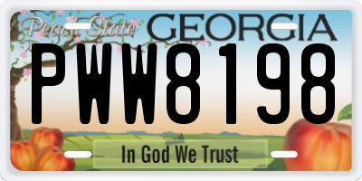 GA license plate PWW8198