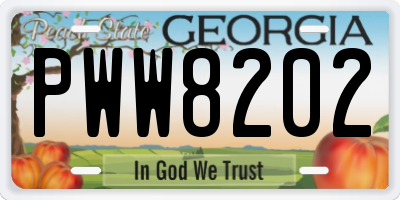 GA license plate PWW8202