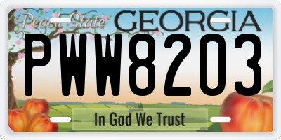 GA license plate PWW8203