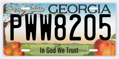 GA license plate PWW8205
