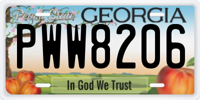 GA license plate PWW8206