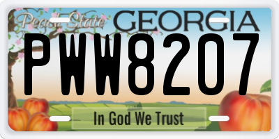 GA license plate PWW8207