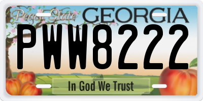 GA license plate PWW8222