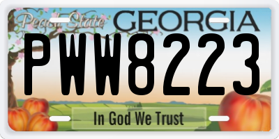 GA license plate PWW8223