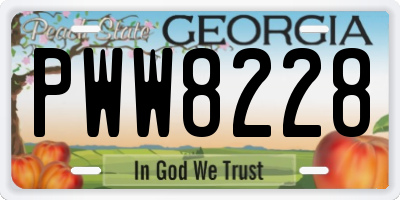 GA license plate PWW8228