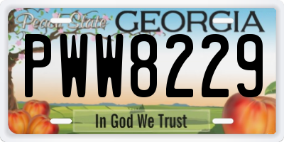 GA license plate PWW8229