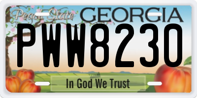 GA license plate PWW8230