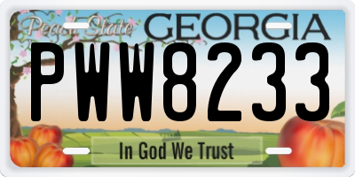 GA license plate PWW8233
