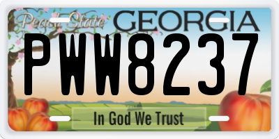 GA license plate PWW8237