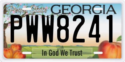 GA license plate PWW8241