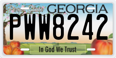 GA license plate PWW8242