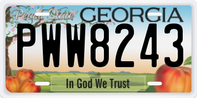 GA license plate PWW8243