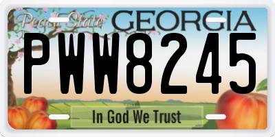 GA license plate PWW8245