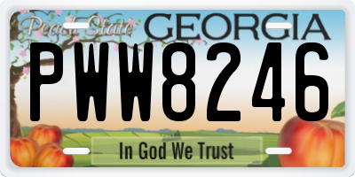 GA license plate PWW8246