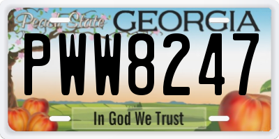 GA license plate PWW8247