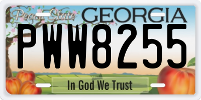 GA license plate PWW8255