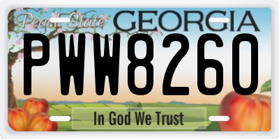 GA license plate PWW8260