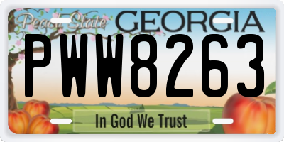 GA license plate PWW8263