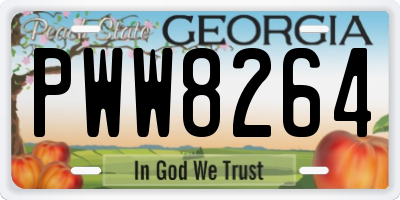 GA license plate PWW8264
