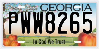 GA license plate PWW8265