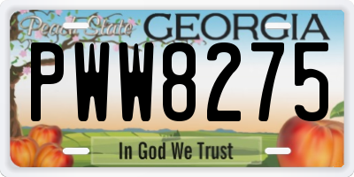 GA license plate PWW8275