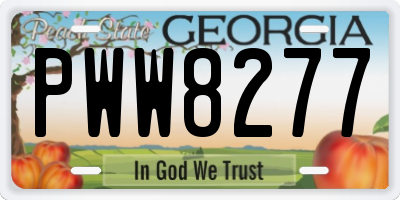 GA license plate PWW8277