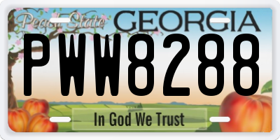 GA license plate PWW8288