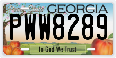 GA license plate PWW8289